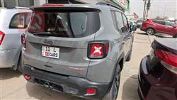 جيب رينيجيد